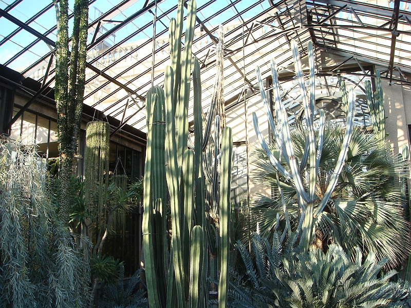 410 Longwood Gardens [2008 August 23].JPG - Longwood Gardens in Pennsylvania